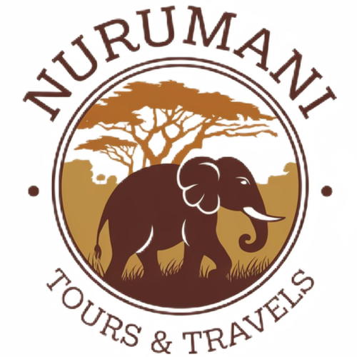 Nurumani Tours & Travels