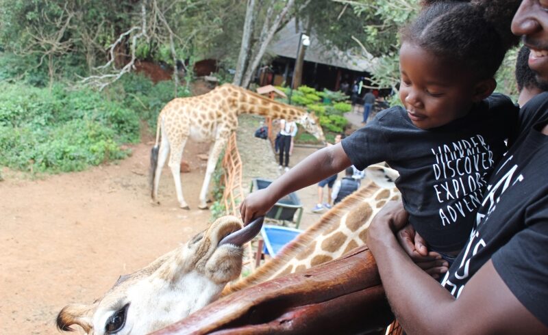 8-Days-in-Kenya-Giraffe-Center