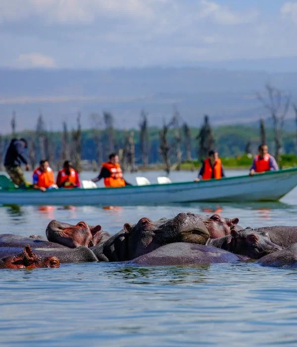 boating-around-Lake-Naivasha