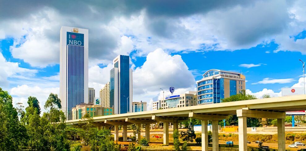 a bridge with a city in the background