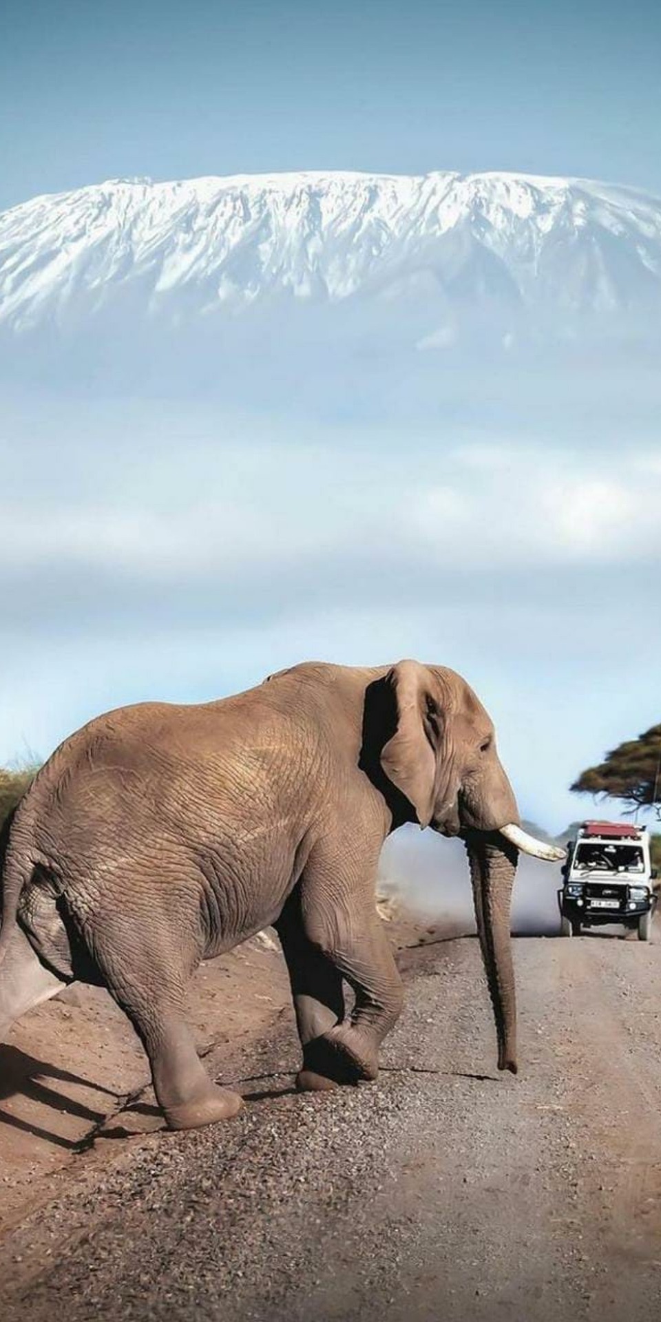 kenya safari tours 7536585_1920