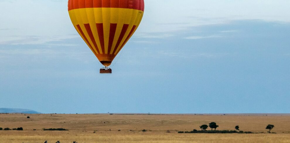 red and yellow hot air balloon over field with zebras