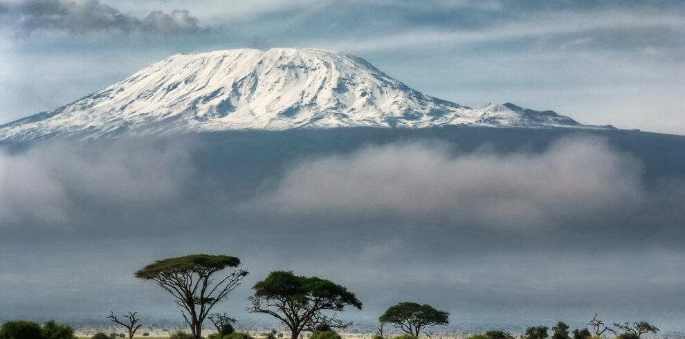 green trees near snow covered mountain during daytime